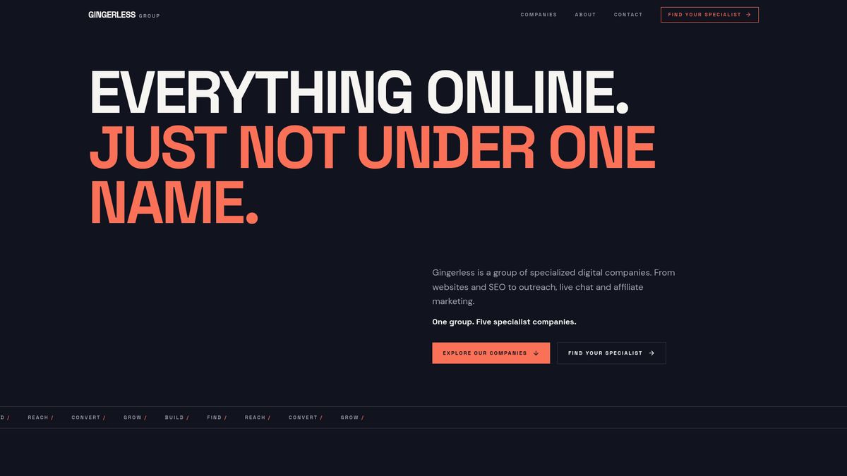 Homepage van Gingerless.com: groep van vijf digitale bedrijven voor websites, SEO, B2B outreach, live chat en affiliate marketing